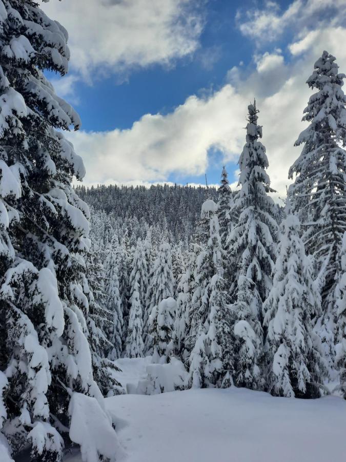 Vila Jelena Núi Núi Jahorina Ngoại thất bức ảnh