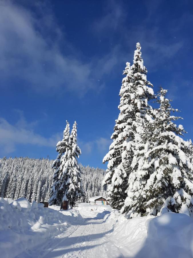 Vila Jelena Núi Núi Jahorina Ngoại thất bức ảnh