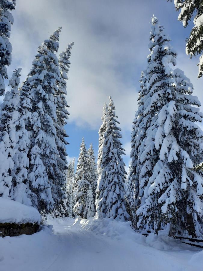 Vila Jelena Núi Núi Jahorina Ngoại thất bức ảnh