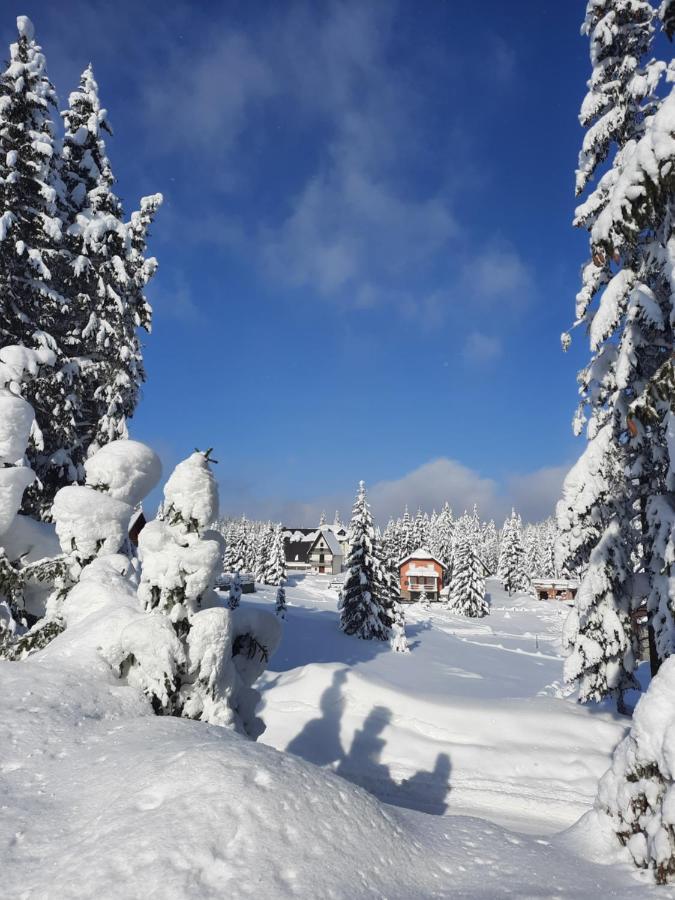 Vila Jelena Núi Núi Jahorina Ngoại thất bức ảnh