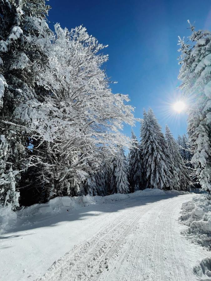 Vila Jelena Núi Núi Jahorina Ngoại thất bức ảnh